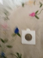 Old Coin in Protective Holder - Image 2