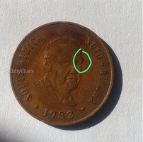 1982 South Africa Coin with Portrait