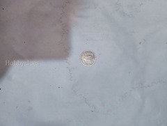 Vintage 5 Centavos Coin from Mexico