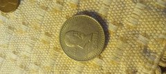 Mexican coin peso