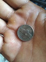 عملات عربيه