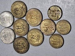 11 different Coins GROSZY/GROSZE/GROSZ :Poland