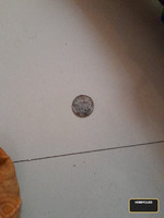 25 ka coin - Image 2