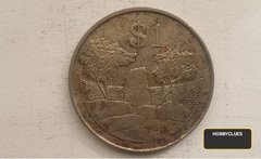1980 Zimbabwe $1 Coin