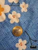 Indian ₹10 Commemorative Coin - 475th Anniversary of Maharana Pratap