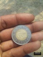 1996 Canadian 2 Dollar Coin - Polar Bear Design - Image 2