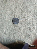 2008 old coin - Image 2