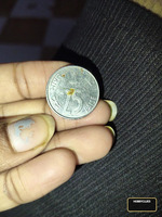 1998 Indian 25 Paise Coin with Cow Design