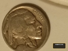 Vintage Buffalo Nickel Coin
