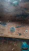 1963 Indian 10 Paise Coin