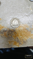1994 India 2 Rupees Coin - World Food Day Commemorative