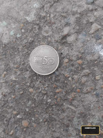 bhel coin