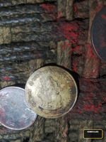 Rare Indian 5 Rupees Coin - Shri Mata Vaishno Devi Shrine Board - Image 2