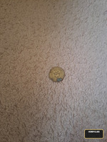 Vintage 100 Fils Coin from Qatar and Dubai