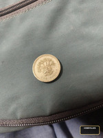 British One Pound Coin Featuring Queen Elizabeth II