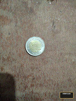 this is mule error coin