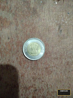 this is mule error coin - Image 2