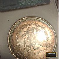 1904 o ngc 64 in old holder nice coin - Image 2