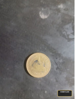 Thailand Collectible Coin Featuring King Bhumibol and Temple Design - Image 2