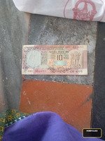 India 10 Rupees Banknote with Peacock Design and Ashoka Emblem