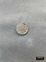 Buffalo silver Nickel