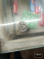 1976 India 1 Rupee Old Coin with Ashoka Lion Capital - Image 2