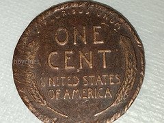 1951 US Lincoln Wheat Penny - Image 2